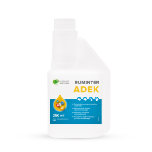 RUMINTER ADEK