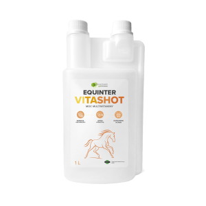 EQUINTER VITASHOT