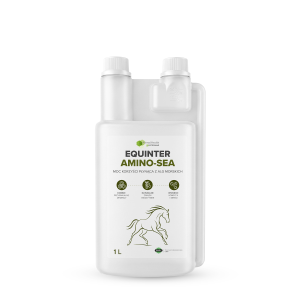EQUINTER AMINO-SEA
