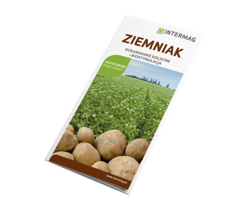 ziemniak.jpg