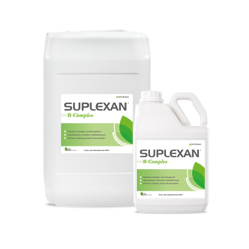 Suplexan B Complex_kpl_5L+20L.png